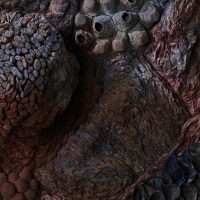 <a href=https://www.galeriegosserez.com/gosserez/artistes/l-c-lab.html> L&C Lab</a> - Biomater - Free Shape II
